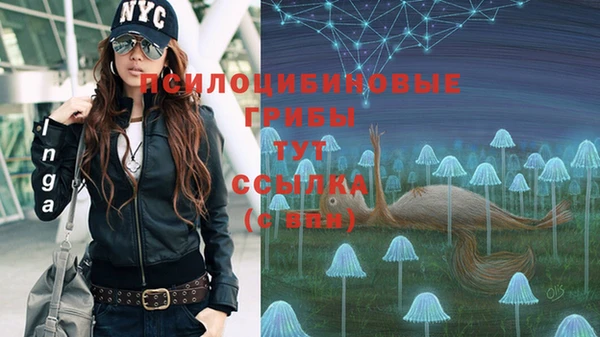 spice Балабаново