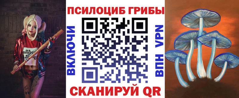 Псилоцибиновые грибы мухоморы  Ершов 